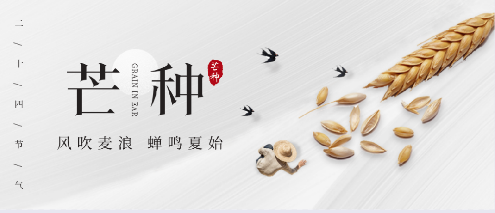 芒种 | 守住土壤健康，保护生态环境